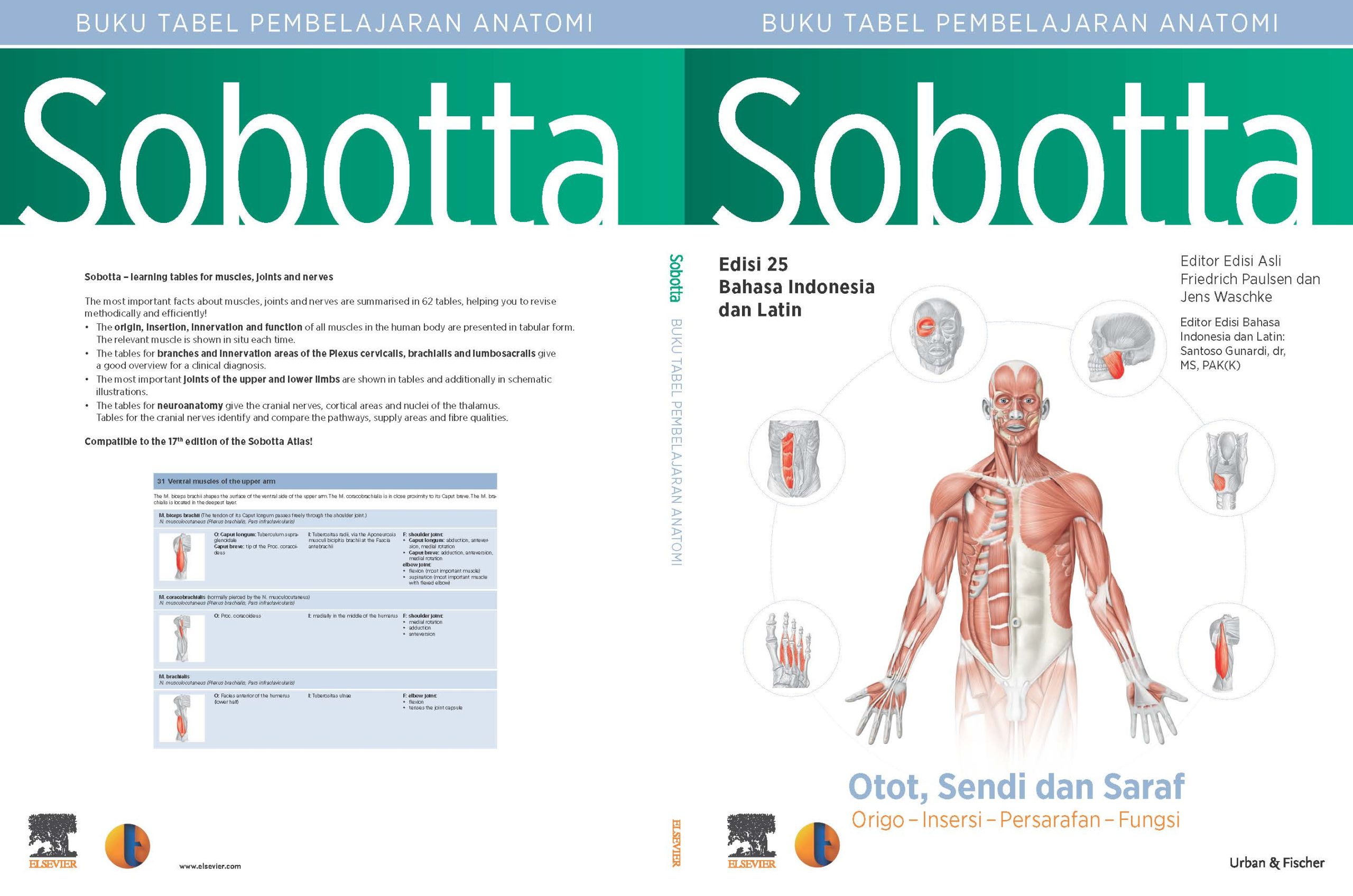 Sobotta Atlas Anatomi Manusia : Otot, Sendi dan Saraf