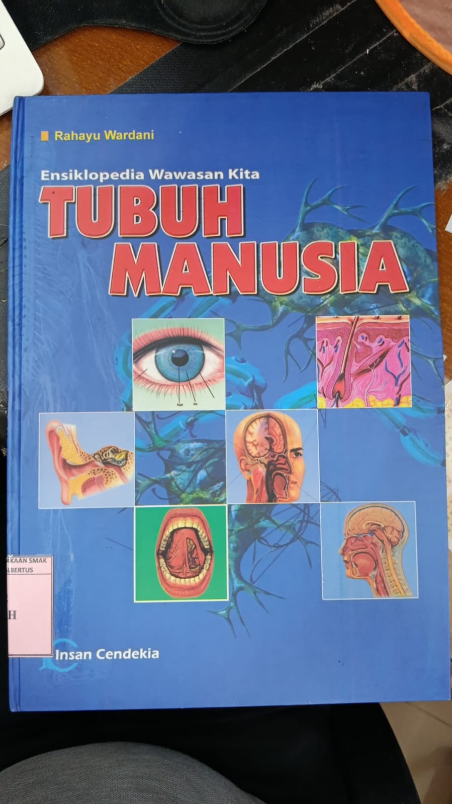 Ensikopedia Wawasan Kita Tubuh Manusia