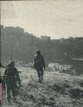 WORLD WAR II: THE ITALIAN CAMPAIGN (VOLUME 11)