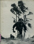 WORLD WAR II: ISLAND FIGHTING (VOLUME 8)