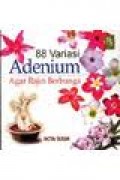 88 VARIASI ADENIUM : AGAR RAJIN BERBUNGA