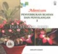 ADENIUM PENYERBUKAN BUATAN DAN PENYILANGAN 2