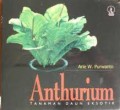 ANTHURIUM : TANAMAN DAUN EKSOTIK