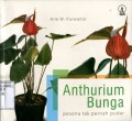 ANTHURIUM BUNG : PESONA TAK PERNAH PUDAR