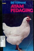 BETERNAK AYAM PEDAGING