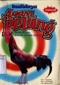 BUDIDAYA AYAM PELUNG : AYAM DENGAN KOKOK PALING BAGUS