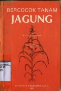 BERCOCOK TANAM : JAGUNG