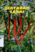 BERTANAM CABAI
