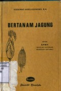 BERTANAM JAGUNG