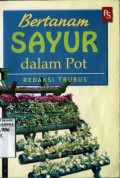 BERTANAM SAYUR DALAM POT