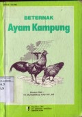 BETERNAK AYAM KAMPUNG