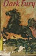 DARK FURY
