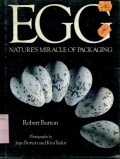 EGG NATURES MIRACLE OF PACKAGING