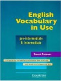 ENGLISH VOCABULARY IN USE: PRE INTERMEDIATE AND INTERMEDIATE