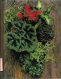 THE TIME-LIFE ENCYCLOPEDIA OF GARDENING: FOLIAGE HOUSE PLANTS (VOLUME 8)