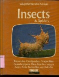 WILD; WILD WORLD OF ANIMALS: INSECTS & SPIDERS (VOLUME 8)