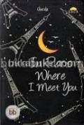 IN PARIS WHERE I MEET YOU