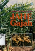 JAHE GAJAH