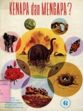 KENAPA DAN MENGAPA?: MENJAWAB 120 PERTANYAAN YANG PALING SERING DITANYAKAN ANAK-ANAK REMAJA (VOLUME 6)