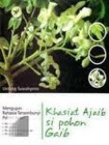 KHASIAT AJAIB SI POHON GAIB : MENGUPAS RAHASIA TERSEMBUNYI POHON KELOR