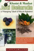 KHASIAT DAN MANFAAT JATI BELANDA: SI PELANGSING TUBUH DAN PELURUH KOLESTEROL