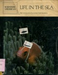 SCIENTIFIC AMERICAN: LIFE IN THE SEA