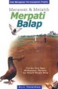 MERAWAT & MELATIH MERPATI BALAP
