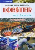 PELUANG USAHA BUDIDAYA LOBSTER AIR TAWAR