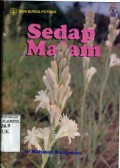 SEDAP MALAM