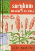 SORGHUM : TANAMAN SERBA GUNA
