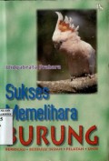 SUKSES MEMELIHARA BURUNG : BERKICAU; BERBULU INDAH; PELATAH; UNIK