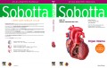 Sobotta Atlas Anatomi Manusia : Organ Interna