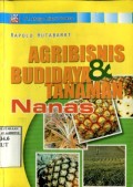 AGRIBISNIS TANAMAN & BUDIDAYA NANAS