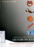 MENGENAL LEBIH DEKAT ARTHROPODA