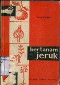 BERTANAM JERUK