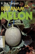 BERTANAM MELON