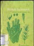 BUAH-BUAHAN