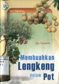 MEBUAHKAN LENGKENG DALAM POT