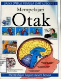 MEMPELAJARI OTAK