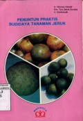 PENUNTUN PRAKTIS BUDIDAYA TANAMAN JERUK