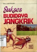 SUKSES BUDIDAYA JANGKRIK